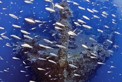 「花の散るらむ」　小笠原の海に散った命