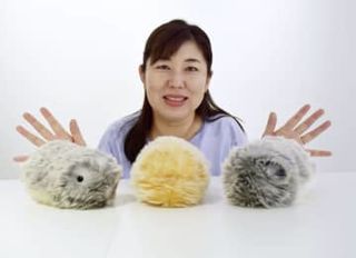人になつくAIペットロボ「Moflin」注目　心支える相棒がヒット【経済トレンド】
