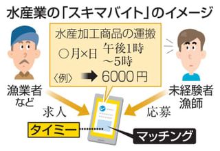 水産業でスキマバイト、宮城　人手不足解消狙う