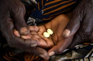 新薬開発の非営利組織に野口賞　アフリカの保健や福祉向上に貢献