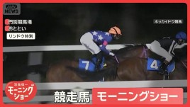 競走馬「モーニングショー」　大けが乗り越え奇跡の復活V　2年半ぶりの1着