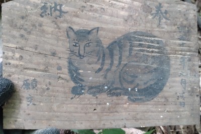 神様は猫、新たな「猫神社」発見　絵馬「倍返し」の風習とは?