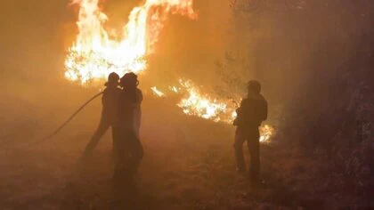 スペイン・ポルトガルで山火事続く　消防士ら6人死亡　スペイン「観測開始以降最悪の被害」