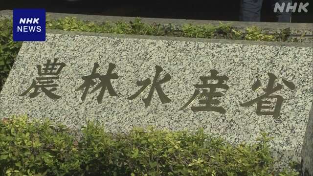 随意契約の備蓄米 来月以降も小売業者の販売認める方針固める
