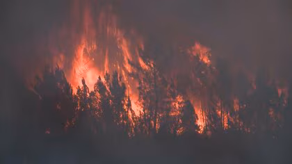 「無力さを感じます」最悪の山火事でスペインの街は壊滅状態…故郷守るためバケツやホースで住民らも消火活動　隣国ポルトガルでも