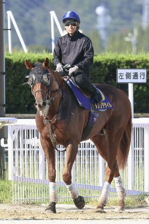 ダノンデサイルは５着　英国競馬のＧ１レース