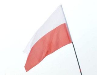 ポーランドでロシア無人機墜落か　畑で落下物爆発