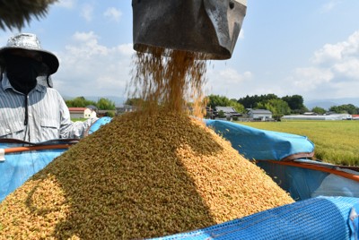 ＜1分で解説＞待望の早場米　5キロ4000～5000円の高値で店頭に
