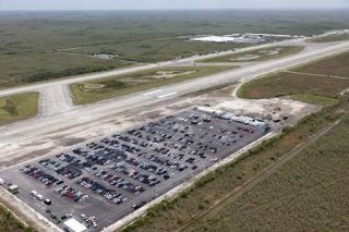 ワニ生息地施設への収容差し止め　米フロリダ連邦地裁