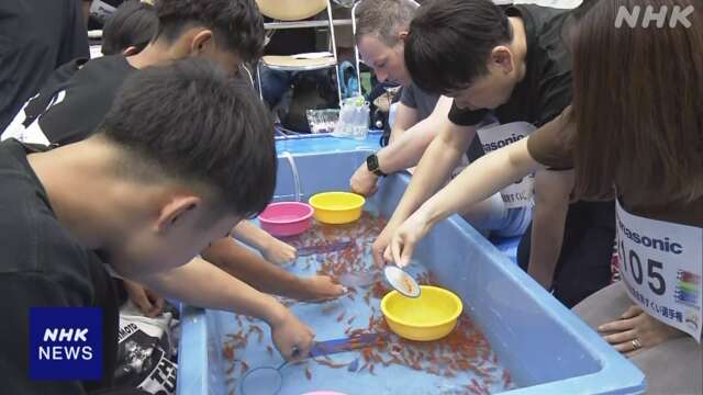 奈良 大和郡山 金魚すくいの腕前競う全国大会