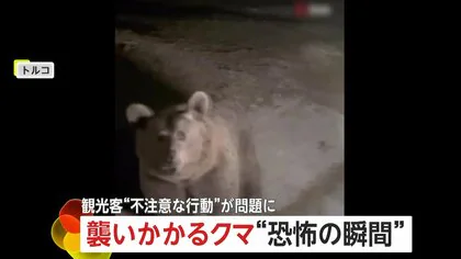 「閉めて！閉めて！閉めて！」クマが車に襲いかかる“恐怖の瞬間”　人気観光地で餌あげようと近づき…撮影目的の接近に注意喚起　トルコ