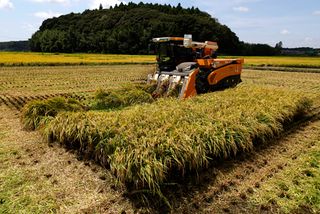 農水省、２．７兆円要求へ＝２６年度予算、コメ不足に対応