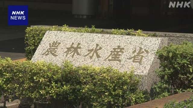 農水省 来年度予算案 概算要求 コメ増産事業を重点化する方針