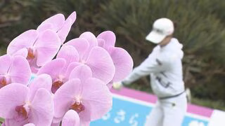 ダイキンオーキッドレディス　沖縄への経済効果は31億円　来場者の平均消費額は13万6千円