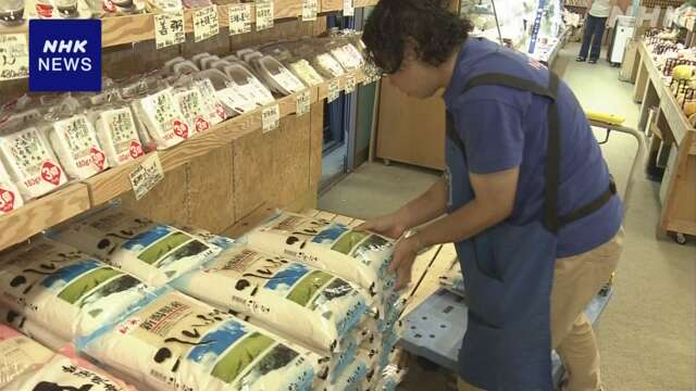 新潟 今季収穫されたコメのわせ品種「こしいぶき」販売開始