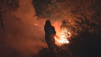 スペイン“最悪の山火事”焼失面積は“東京都の2倍”に…消火活動続くもいまだ鎮火せず　放火の可能性で50人拘束135人対象に捜査