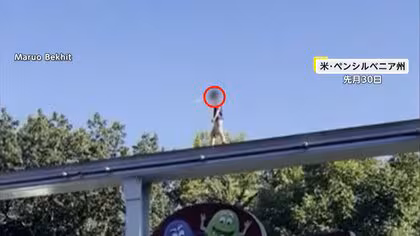 高さ6ｍ…遊園地のモノレール線路上を1人で歩く男の子　危機一髪の瞬間に屋根から飛び移った男性が無事救助　アメリカ