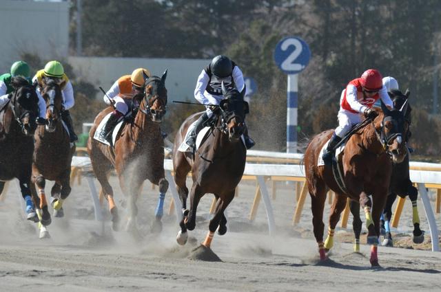 競馬学校からデビューの新人騎手が初めて0人　退学・留年者が相次ぎ