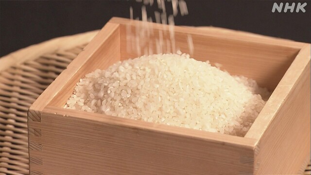 コメ価格 向こう３か月見通しの指数 8月は上げ幅最大に