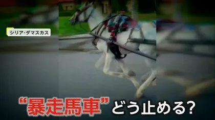 “無人の馬車”が突然暴走　前の車を抜かすなど道路は大混乱　男性が馬車に飛び乗り…しばらく走って止まる　シリア