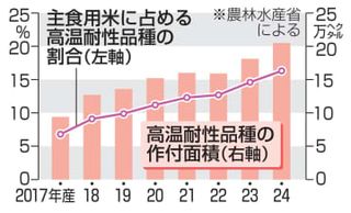 猛暑に強いコメ拡大、全国16％　7年で面積2倍、24年産