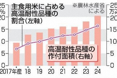 猛暑に強いコメの作付面積、24年産は全国で16％　7年で2倍に