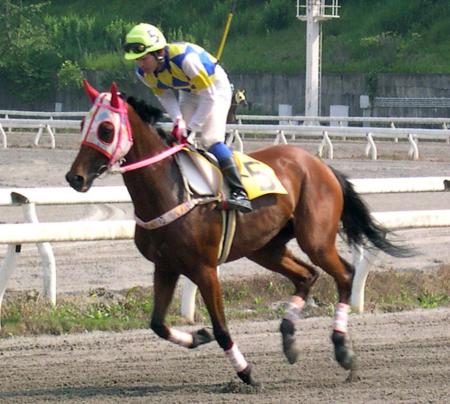 １１３連敗のハルウララ死ぬ　高知競馬「負け組の星」