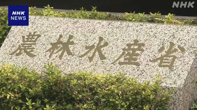 コメ需要見通し“前年以下”で調整 近く示す新案で 農林水産省