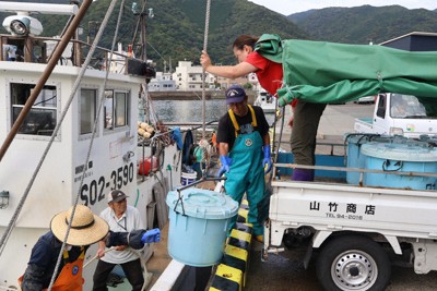 静岡・駿河湾で深海魚漁が解禁　漁獲量は「ここ数年で一番悪い」