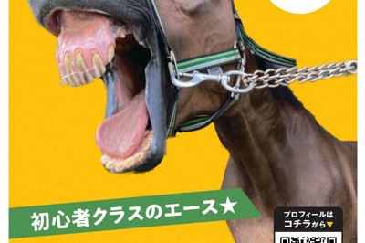 「推し馬」探しませんか?　兵庫・馬の複合施設で初の選抜総選挙