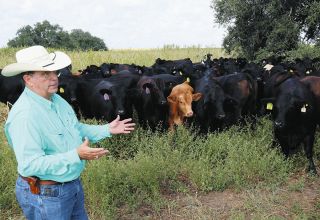 アメリカ国民食の牛肉、モ～高すぎ　干ばつ影響、トランプ関税もブーメランに　「ピークはまだ先」予想も