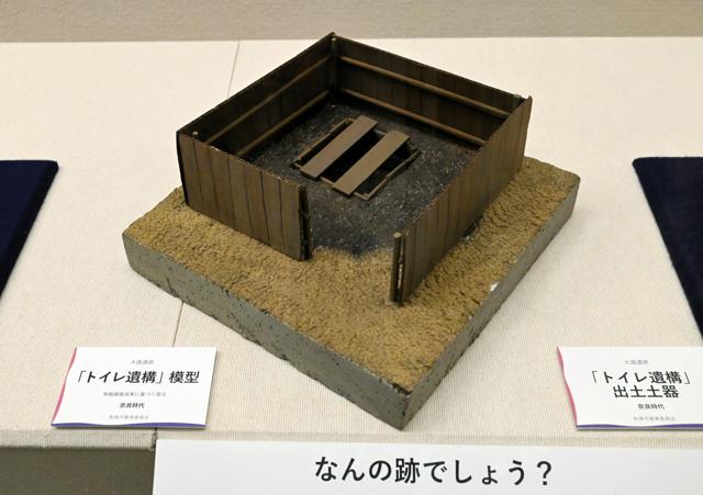 大阪南部の遺跡で庭園やトイレ跡　女帝・元正天皇いやした和泉宮か？