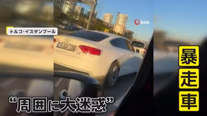 イノシシが車と並走「顔がすごく爽やかで」　トルコでは“ジグザグ走行”とんでもない危険な運転の末に男逮捕