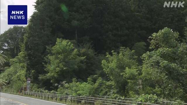 長野 大桑村の山林でクマに襲われ男性けが 伐採作業中