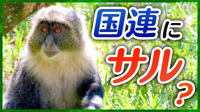 WEB特集国連がアフリカに“引っ越し”？いったいなぜ