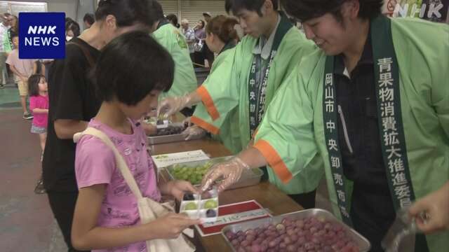 6種類のぶどう食べ比べるイベント 岡山