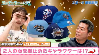 【御意見番が選ぶ！マイナーリーグ推しチーム編】 マイナーリーグの個性豊かなグッズをご紹介！