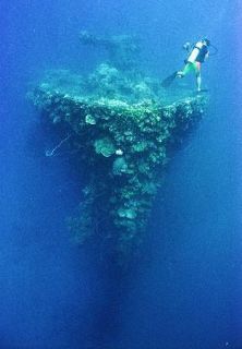 戦争中沈没の日本船から油流出　ミクロネシアで緊急事態宣言