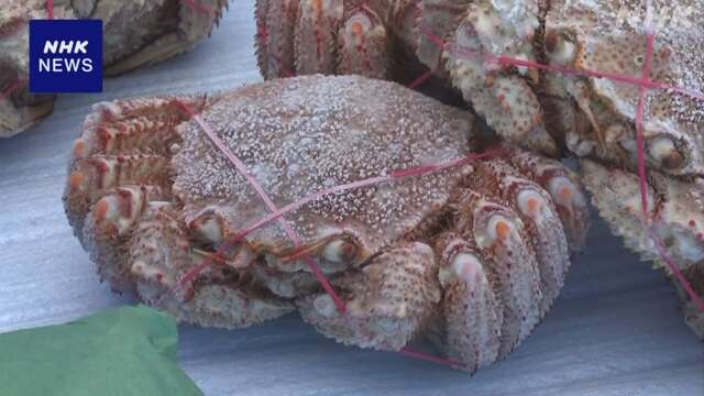 北海道 雄武町 秋の味覚を楽しむ催し 家族連れなどでにぎわう