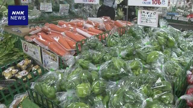 10月の主な野菜の価格 1割から3割以上高い見通し 夏場の高温で