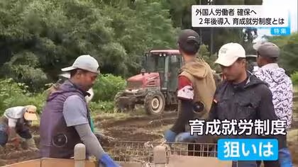 国際貢献から人手の確保へ　外国人労働者の受け入れ制度に変化　２年後に導入「育成就労制度」とは