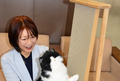 伝統工芸士と「猫目線」のものづくり　8年かけ爪研ぎ開発　岩手