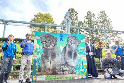 愛称はノブ、ヒデ、ヤス　5月誕生マヌルネコ、由来は…　名古屋