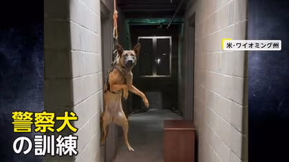 動物たちがスパイ？　天井から“潜入”したアメリカの警察犬　一方「シーパラ」の“諜報員”ネイは窓から器用に偵察