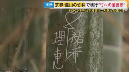 嵐山の絶景竹林で相次ぐ「落書き」　「7～8年前から」始まり350本以上が被害　いずれは人に被害を及ぼす可能性も