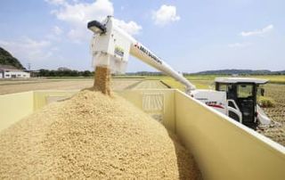 新米取引価格が63％上昇　9月前年比、初の3万円超