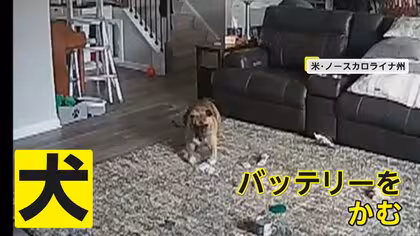 モバイルバッテリー発火の原因は…飼い犬がかんでいた 消防署員の犬が“大失態” アメリカ・ノースカロライナ州