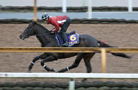 エリキング、仕上がりアピール　競馬の菊花賞、最終追い切り
