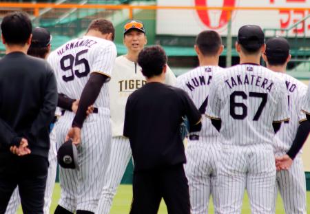 阪神、藤川監督「自然体で」　日本シリーズへ練習