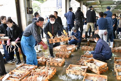 日本海のズワイガニ守る　5府県が共通ロゴ　北海道の競合を懸念